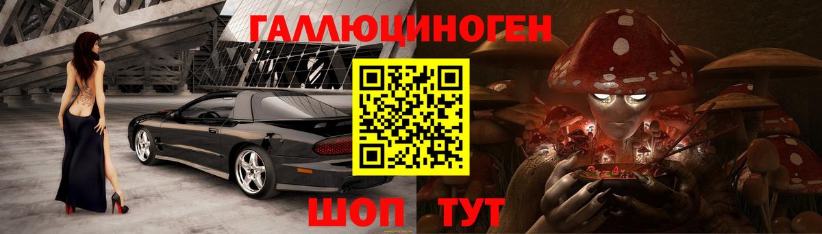 Донской  Псилоцибиновые грибы Magic Shrooms  Вход с VPN 